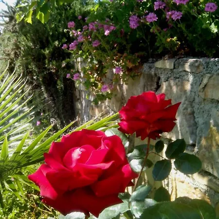 Casa Rossa 博尔迪盖拉